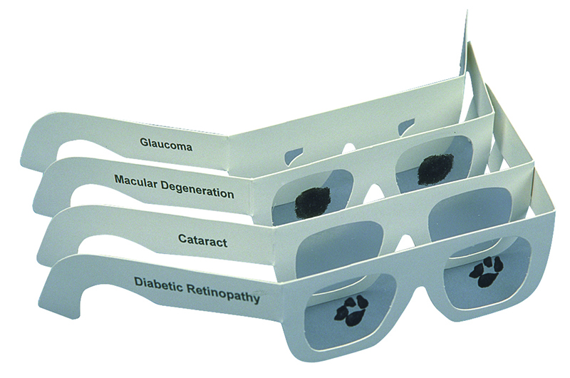 Low Vision Simulation Kit Low Vision Aids Eschenbach Optik
