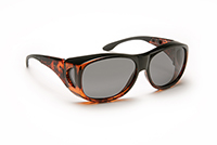 Solar Shield Filters | Premium Absorptive Filters | Eschenbach Optik
